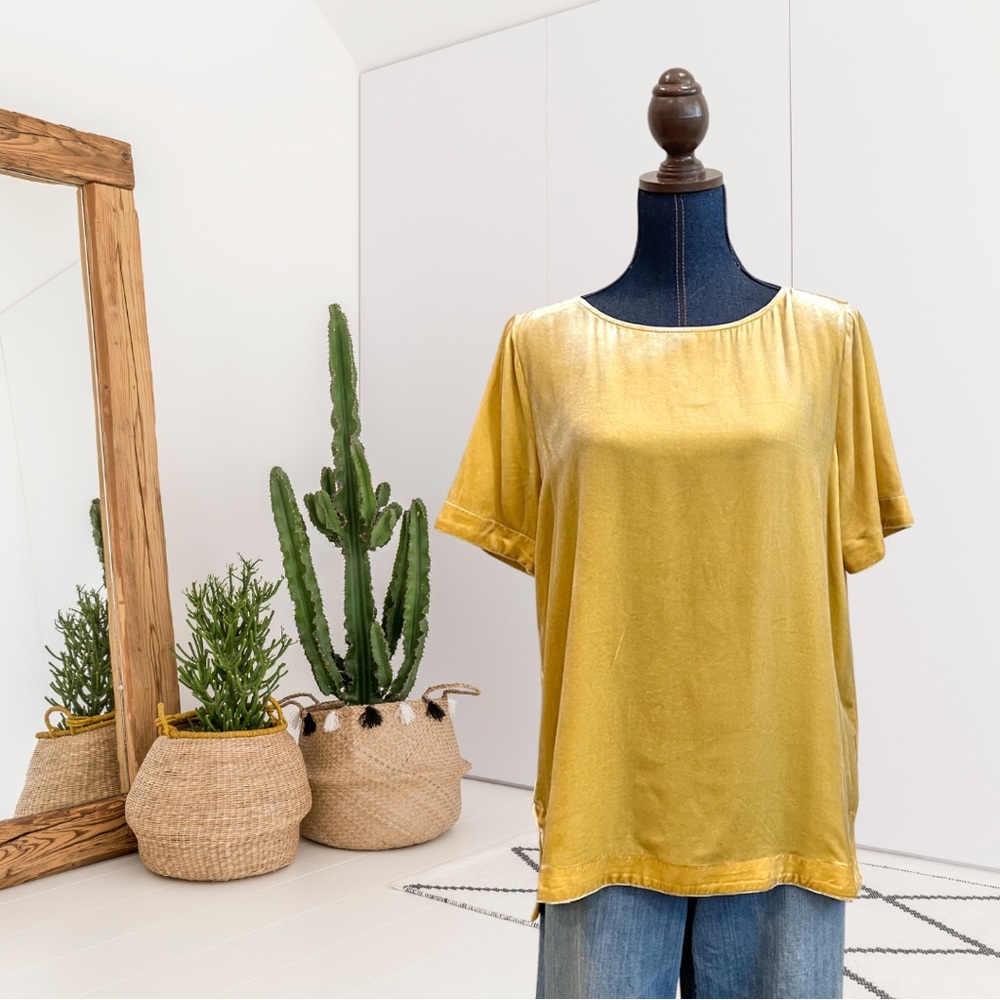 Sundance Forever Velvet Short Sleeve Tunic Top